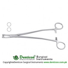 Thomas-Gaylor Biopsy Forcep Stainless Steel, 21 cm - 8 1/4" Bite Size 5.6 mm Ø